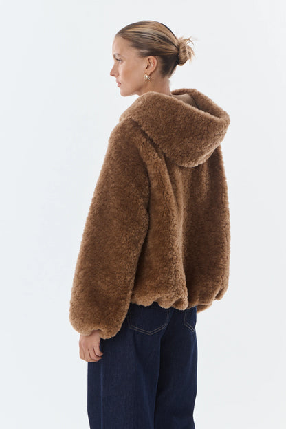 Camel