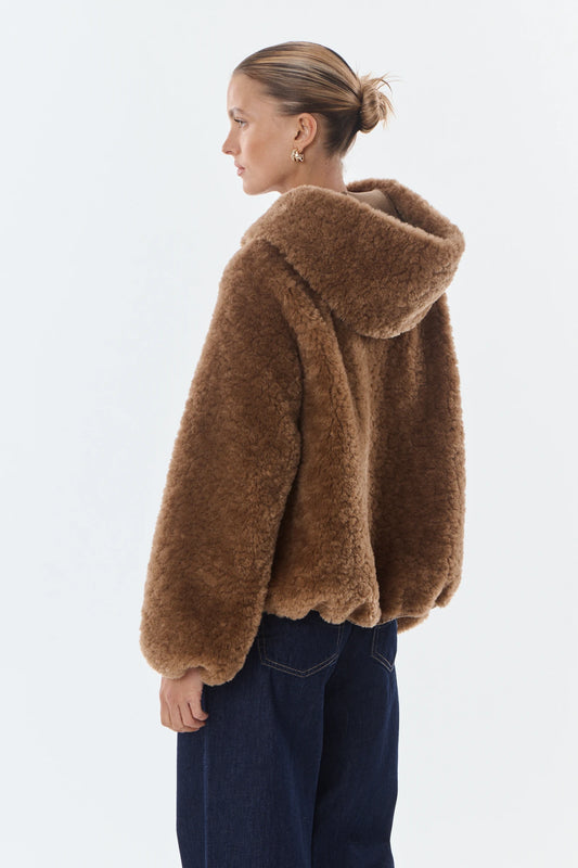 Camel