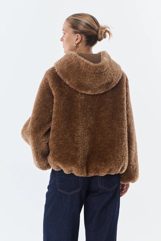 Camel