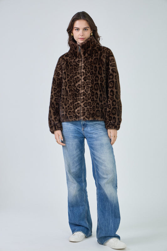 Leopard