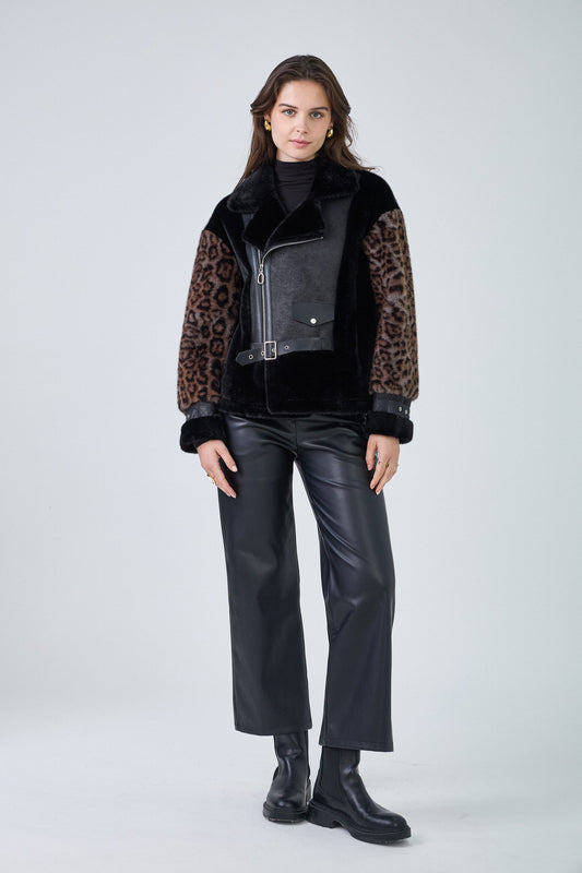 Leopard