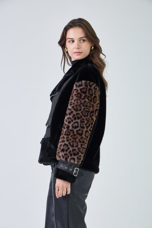 Leopard