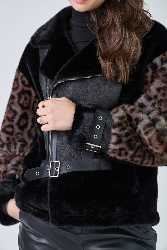 Leopard